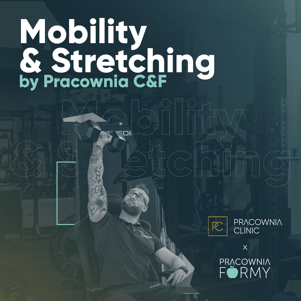mobility-stretching